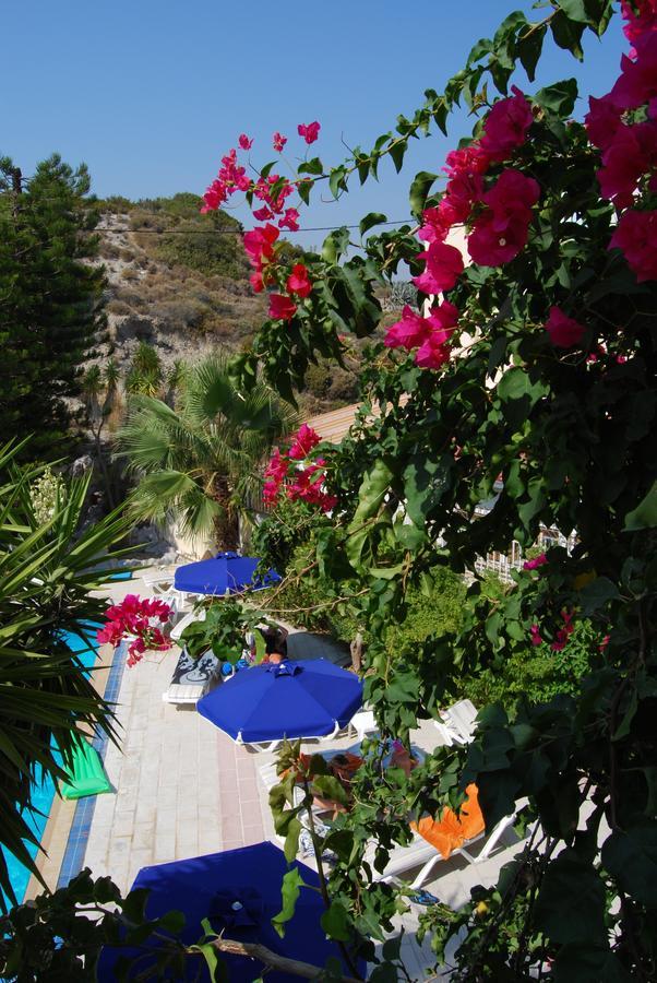 Artemis Studios Faliraki Dış mekan fotoğraf